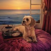 ABC Tonnerre、Sound ॐ Love ❤ Alchemy☿、Songs for Dogs to Sleep To - Canine's Oceanic Overture