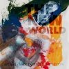 steve appleton - The New World