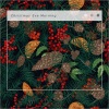 Silent Night Sounds、Christmas Carol: Away in Manger、Christmas Singles: Ding Dong Merrily On High、Christmas Special: A Great、Mighty Wonder - Path to Christmas: Away In A Manger