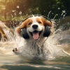 Elysium Fields、Riverside Underground、Dog Therapy Zone - Energetic Stream Dogs Dance