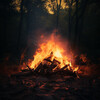 Nature TV、Fire Place Sounds、Relaxation Music Therapy - Gentle Ember Melodies Relax