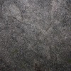 Vulture - Sand