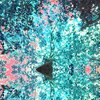 Hutch - Ice on the Lake