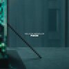 Nelson Mendler - Fastest Travel