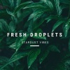 Stardust Vibes《Fresh Droplets》[MP3/LRC]