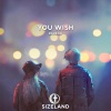 Rareno、Yoshiki Nakamura - You Wish