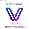 DJ Peisch - Sensory
