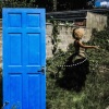 The Narrator - THINGNESS, Vol. 1