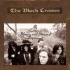 The Black Crowes - Sting Me (2023 Remaster)