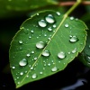 Reverend XYZ、Olivia Rain、Baby Sleep Music - Gentle Rain Soothes Nightly