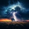 Soft Background Music、Zen Natural Sounds、Dog Music TA - Thunder Soothes Canine Nerves
