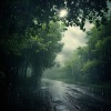 Neuron Minds、Sleep Sounds Rainfall、Astral Travel Sanctuary - Rainforest Echoes Dance Freely