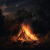 Sonidos de la naturaleza báltica、Flamespad Naturaleza Fuego Sonidos、Relajarse Melodías - Cuerdas De Chimenea A La Luz De La Luna