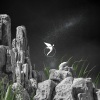 far from home、Retoric - The Arrival