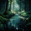Flow Zen Silent、Water Sounds Natural White Noise、Study Music Experience - Gentle River’s Study Aid