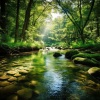 Natural Waters、Meditation Playlist、Just Relax Music Universe《Serene Waters Calm Deeply》[MP3/LRC]