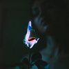 ZaiEra - M33K