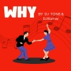 DJ Tons、DJRomar、Siu Juki、Jay Balmorian、Richie Balmorian、Peter Hartmann、Jan Langhoff - Why (BreakLatin Remix)