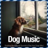 Relax My Dog、Dog Music Zone、Dog Music Dreams - Slow Climb