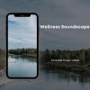 Portable Music Vibes、Relaxing Music、Peaceful Clarity - Ambient Vibes