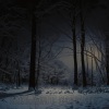 Dan Lucore - Silent Night