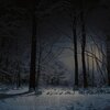 Dan Lucore - Silent Night