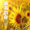 毽子飞 - 最美的你