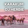 DJ Herbie - karakum