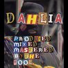the fool - Dahlia (Explicit)