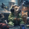 Christian Music Experience、Rain Sound Studio、Calming Music For Pets - Rains Soothe Pet Tune