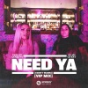 Mollie Collins、Leah Guest - Need Ya (I Don't Wanna)(VIP Mix)
