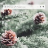 Traditional Christmas Songs《O Christmas Tree: for All Christmas Times》[MP3/LRC]