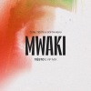 Zerb、Tiësto、Sofiya Nzau《Mwaki (Tiësto's VIP Mix)》[MP3/LRC]