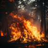 Sonidos de Zambezi、Biblioteca de sonidos de fuego de Rushing Blaze、Enfoque y concentración - Estudio Con Llamas Tranquilas