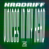 Kradriff《Voices in My Head》[MP3/LRC]