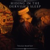 Tolga Maktay《Hiding In The Dervish's Sleep》[MP3/LRC]