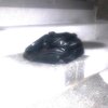 MUG BOYS、Trash Boat - saco do mijo (feat. Trash Boat)(Explicit)