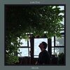 Lone Star - Healing