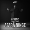 Leo De La Kuweit、Manele VTM - Afară ninge (Acustic)