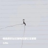 石鸿运 - 哪来的好运让你每次都完美谢幕