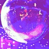 Subai - Roam About