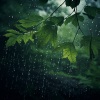 Breastfeeding Music、Aquagirl、Bit Rain - Elemental Drops Daylight Symphony
