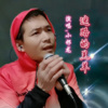 小邪龙 - 迷路的羔羊