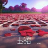 王老师 - 王招君