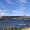 Leviticus - grateful