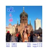 自若然 - 冰之城