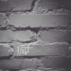 李浩瑞 - 疯子