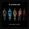 Cambium《Let's Send a Signal》[MP3/LRC]