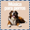 Relax My Dog、Puppy Music Therapy、Music For Dogs Peace - Noche silenciosa