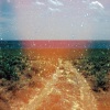 We Are The Night、Seongsu Hwang、Boram Kim、함병선 (9z)、LilFISH - No Thank You